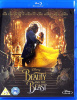 Disney's Beauty and The Beast