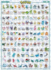 Pokemon Hoenn Maxi poster