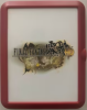 Final Fantasy Type-0 HD FR4ME Limited Editon